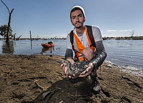 An animal welfare and anti-duck hunting advocate Dillon Walkin displays a dead Freckled duck (Stictonetta naevosa) that was collected from a lake during the opening morning of duck hunting season. Thi...
