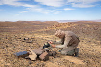 Photographer, Ugo Mellone, placing a solar powered camera trap in the Sahara desert to photograph the Cuvier&#39;s gazelle, Djebel Ouarkziz, Southern Morocco, Africa. December, 2019.