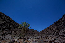 Ravine in the Sahara desert at night, Djebel Rich, Southern Morocco, Africa. March, 2020.