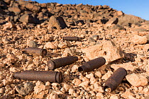 Old ammunition in the desert from the Western Sahara war, Djebel Ouarkziz, Southern Morocco, Africa.