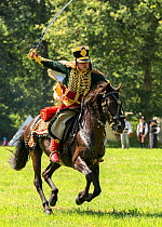 First Empire Military Re-enactment: Man dressed in uniform on horseback as a Colonel of the Seventh Regiment de Hussards charging, Chateau du Plessis-Bourre, Maine-et-Loire, France. July 2021