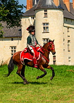 First Empire Military Re-enactment: Man dressed in uniform as the Prince de Salm riding a Lusitano horse, Chateau du Plessis-Bourre, Maine-et-Loire, France. July 2021
