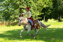First Empire Military Re-enactment: Person dressed in uniform on horseback: Aide de camp of Marechal Berthier charging, Chateau du Plessis-Bourre, Maine-et-Loire, France. July 2021