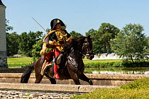 First Empire Military Re-enactment: Man dressed as a Colonel of the Seventh Regiment de Hussards riding a dark Bay Purebred Spanish (PRE) horse, Chateau du Plessis-Bourre, Maine-et-Loire, France. July...