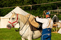 First Empire Military Re-enactment: Man dressed in Second Regiment de Hussards uniform preparing his horse, Chateau du Plessis-Bourre, Maine-et-Loire, France. July 2021
