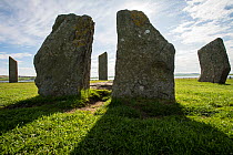 Stones of Stenness, part of Neolithic stone circle built over 5000 years ago, managed by Historic Scotland, UNESCO World Heritage Site, Orkney, Scotland, UK, May 2021.
