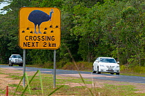 Road sign warning of Double-wattled cassowary (Casuarius casuarius) possibly crossing the road, Mission Beach, Tully, Queensland, Australia.