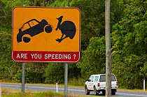 Road sign depicting a Double-wattled cassowary (Casuarius casuarius) warning drivers not to speed, Mission Beach, Tully, Queensland, Australia.