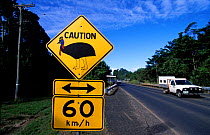 Road sign warning of Southern cassowary (Casuarius casuarius) presence, Mission Beach, Queensland, Australia.  IUCN: Vulnerable.
