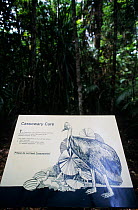 Information sign about Southern cassowary (Casuarius casuarius) in tropical forest, Mission Beach, Queensland, Australia.