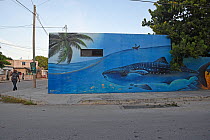 Wall painting of whale shark, Chicxulub, North Coast of Yucatan Peninsula, Mexico.