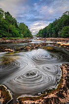 Long exposure of the River Ure at Aysgarth, with swirling foam. Yorkshire Dales National Park, North Yorkshire, England, UK. June.