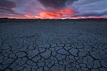 Dry lake at sunset, former Hooded grebe habitat, Strobel plateau, Santa Cruz, Patagonia, Argentina. Cropped. January 2018.