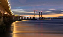 Prince of Wales Bridge (Second Severn Crossing) over the River Severn with lights on at dusk, Gloucestershire, England, UK. August.