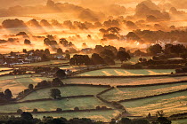 Dawn over misty fields near Crickhowell, Wales, UK. August.