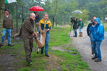 Keepers carrying stunned Eurasian lynx (Lynx lynx) to cage for transport and release in Polish nature reserve, breeding and reintroduction program, Germany. Captive. June.