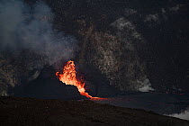 Hot lava spewing from a vent within a spatter cone. This feeds a growing lava lake in a pit within the caldera of Halemaumau Crater, Kilauea Volcano, Hawaii Volcanoes National Park, Hawaii Island, Haw...