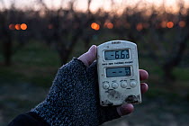 Measuring the air temperature in the morning - minus 6 degrees was a record breaking temperature in Hungary for April 2nd. The sensitive apricot trees were protected by paraffin candles burning all ni...