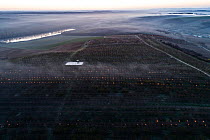 Valley at dawn, covered with smoke from paraffin candles which protected huge apricot orchards from frost damage, Zavod, Hungary, April, 2020. SajtoFoto (PressPhoto) Hungary Photography Competition Wi...