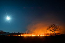 Farmland lit by a full moon on an ice cold night; smoke and flames from paraffin candles create a heat capsule above the field, protecting the apricot trees from frost damage, Zavod, Hungary, April, 2...