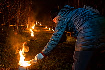 When frost arrives, the farmer&#39;s family come out to light liquid paraffin candles as quickly as possible, to protect the apricot crop from frost damage, Zavod, Hungary. April, 2020. SajtoFoto (Pre...