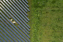 Rows of solar panels covering former pastureland, Tatabanya, Hungary, August, 2020. Hungary Nature Photographer of the Year Competition 2021 - Sustainable Energy and Nature category -Highly Commended...