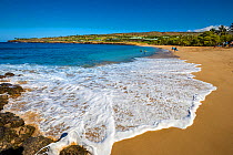 Snorkelers and surfers entering the water off Hulopo&#39;e Beach Park, with a resort over looking the golden beach and palm trees, with a lot of surf on the sand, Lanai Island, Hawaii, USA.