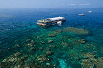Reef Magic Marine World Pontoon on reef following mass spawning underwater snowstorm' on the night of November 17 after full moon, part of Coral Larval Restoration Project, Southern Cross University a...