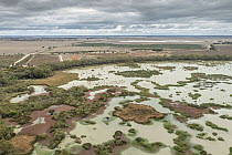 Aerial view of a section of Middle Reedy Lake with floating mats of Water fern (Azolla sp.) Tangled lignum (Duma florulenta) Reeds (Typha sp.) and Water primrose (Ludwigia peploides) Kerang, Victoria,...