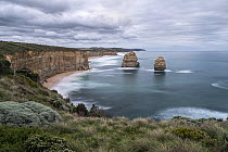 Twelve Apostles viewed from south east aspect from the Twelve Apostle Lookout, Port Campbell National Park, Victoria, Australia.  April 2021. Long exposure.