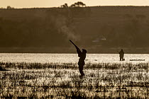 Hunter firing shot at passing ducks on opening morning of Victorias duck hunting season, Little Lake Buloke, Victoria, Australia. May 2021.