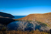 Saline lake in volcanic tuff cone crater, Tagus Cove, Isabela Island, Galapagos, South America. June, 2021.