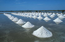 Pyramid piles of salt gathered up in a salt lagoon, Samut Songkhram Farm, Thailand.
