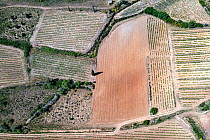 Crop fields near Tuchan, aerial view, Occitanie, France. May.