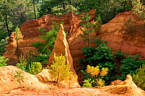 The Ochre of Roussillon, Vaucluse, France. June.