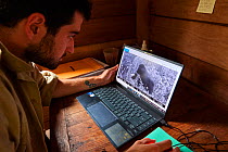Scientist studying camera trap images on his computer showing a Gorilla (Gorilla gorilla), Conkouati-Douli National Park, Republic of Congo, Africa.
