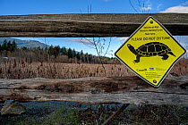 A sign warning hikers of a Western painted turtle (Chrysemys picta bellii) nesting area, Buttertubs Marsh Park, Nanaimo, British Columbia, Canada. Februaru, 2021.