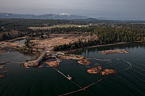 Logging operations, Vancouver Island, British Columbia, Canada. February, 2021.