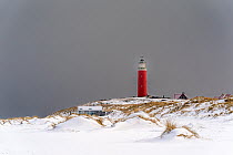 Texel lighthouse and snow-covered sand dunes, Texel Island, Wadden Sea, The Netherlands, Europe. February, 2021.