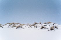Snow-covered sand dunes after winter snowfall, Texel Island, Wadden Sea, The Netherlands, Europe. February, 2021.