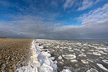 Pancake ice accumulating close to the beach,  Texel Island, Wadden Sea, The Netherlands, Europe. February, 2021.