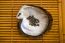 Black pearls from CJC Corrion farm, Manihi Atoll, Tuamotu Archipelago, French Polynesia.
