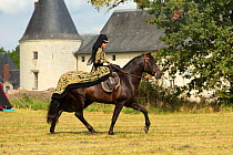 Woman riding side-saddle in medieval costume, on  PRE Spanish horse, Chateau du Plessis-Bourre, Loire Valley, France.  2021