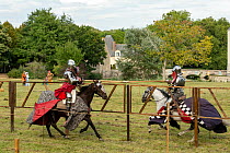 Two medieval knights, in armour, jousting, Chateau du Plessis-Bourre, Loire Valley, France.  2021