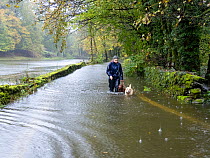 A woman walking her dogs along a road submerged in flood waters from the River Rothay after torrential rain, Ambleside, Lake District National Park, Cumbria, UK. October, 2021.