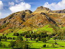 View of the Langdale Pikes, Lake District National Park, Cumbria, UK. October, 2021.