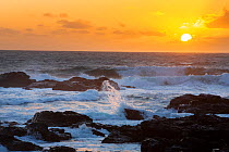 Waves crashing onto rocks off Cape Cornwall at sunset, Cornwall, UK. September, 2020.