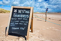 National Trust sign informing people about nesting birds on the beach near Beadnell, Northumberland, UK. May, 2021.