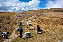 Walkers on the Three Peaks footpath next to piles of stone being used for repair work, Ingleborough, Yorkshire Dales National Park, Yorkshire, UK. April, 2021.