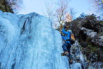 Ice climber on a frozen waterfall, Launchy Ghyll, Thirlmere, Lake District National Park, Cumbria, UK February, 2021.
